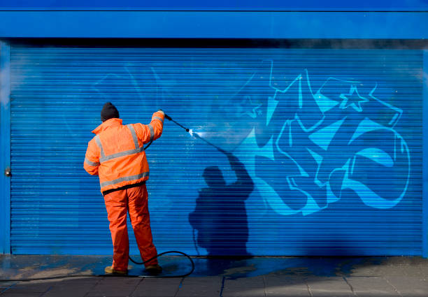 Best Garage Pressure Washing  in Ladera Ranch, CA